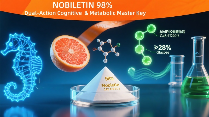 Redefining Nutraceutical Innovation: Nobiletin 98%—The Dual-Action Powerhouse for Cognitive Vitality and Metabolic Mastery
